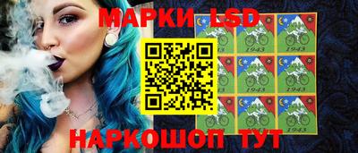 индика Бердск