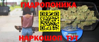 шишки Баксан