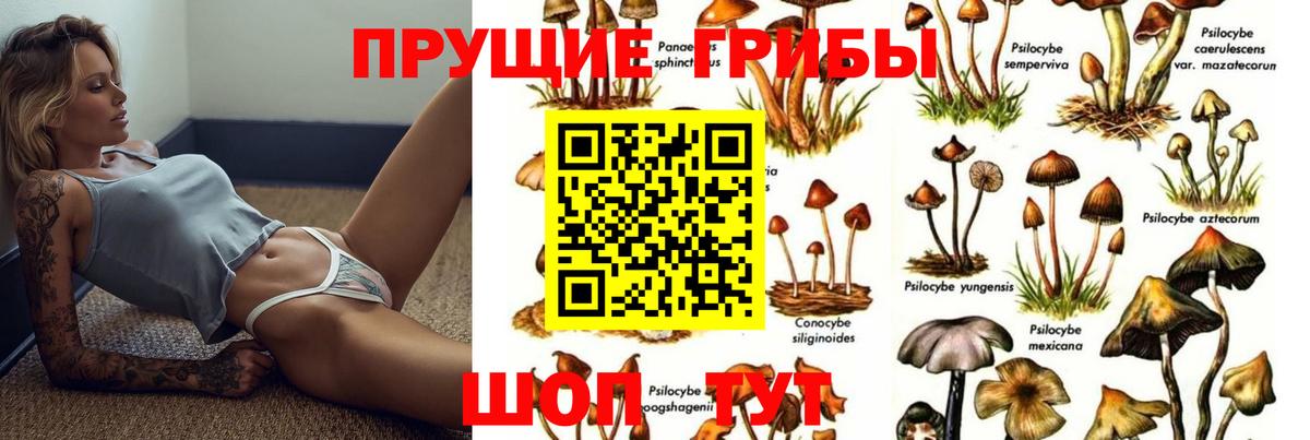 Галлюциногенные грибы мухоморы  Галлюциногенные грибы прущие грибы  Луга  Вход с VPN 